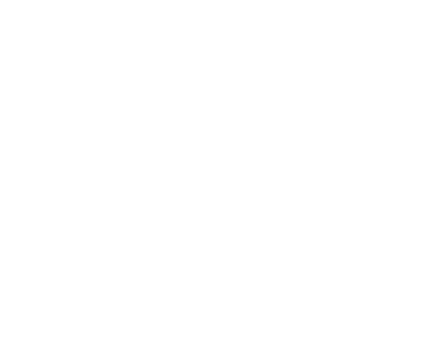 Stefano Recanati - Formefactory Logo